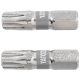 YATO YT-78016 Bithegy T40 x 25 mm (2 db)